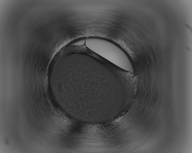 X0000091900488200709191240