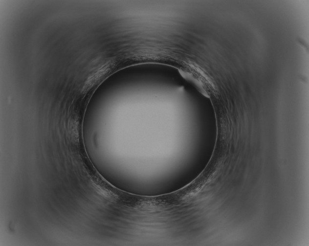 X0000091900489200709191240