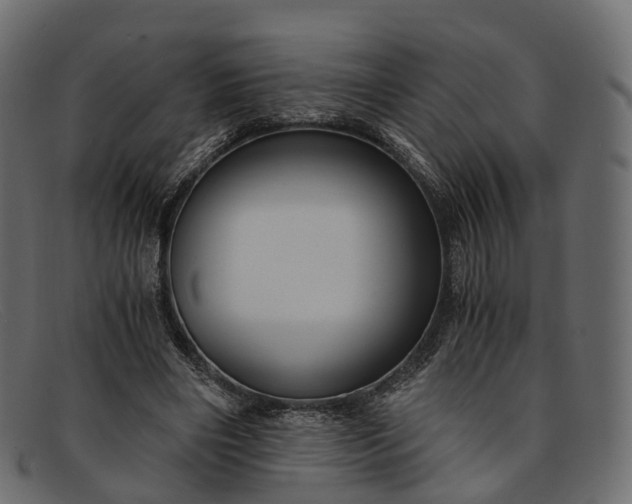 X0000091900490200709191240