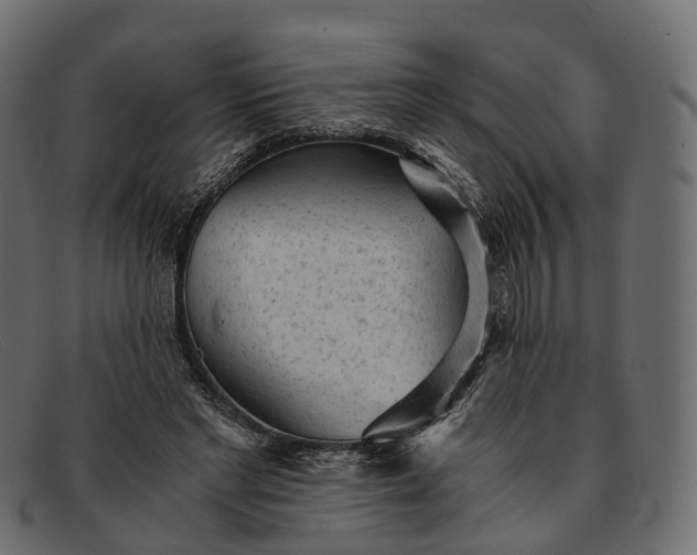 X0000091900493200709191240