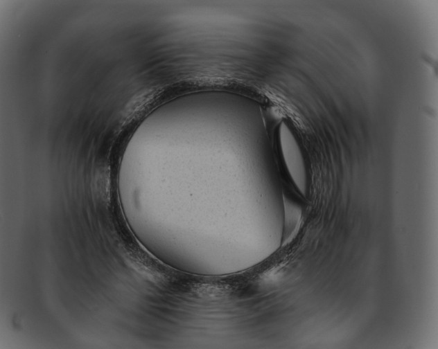 X0000091900494200709191240