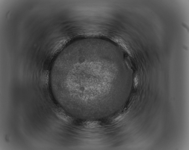 X0000091900495200709191240