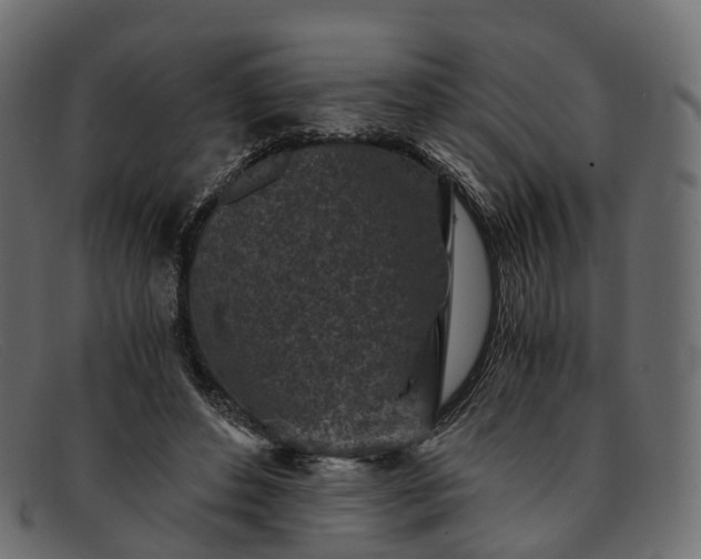 X0000091900496200709191240