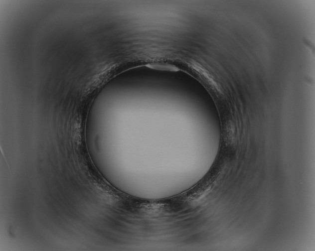 X0000091900497200709191240