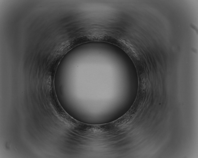 X0000091900498200709191240