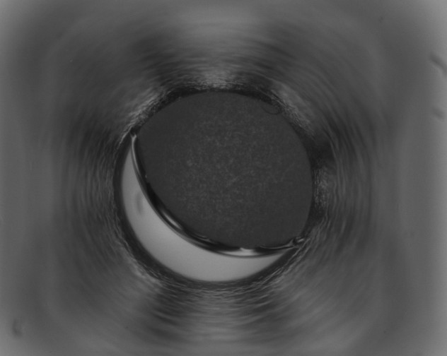 X0000091900500200709191240