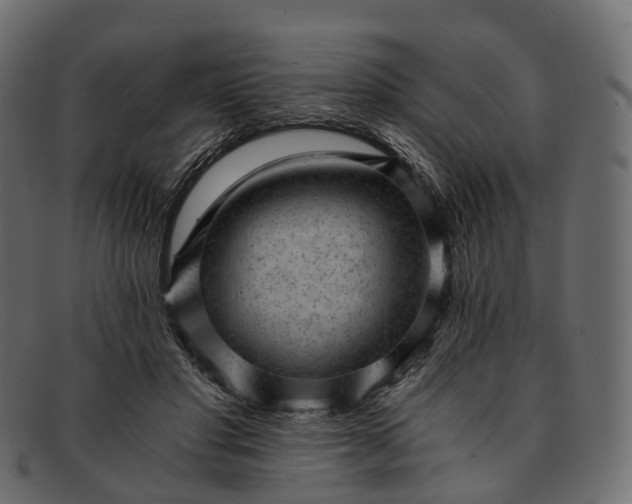 X0000091900501200709191240