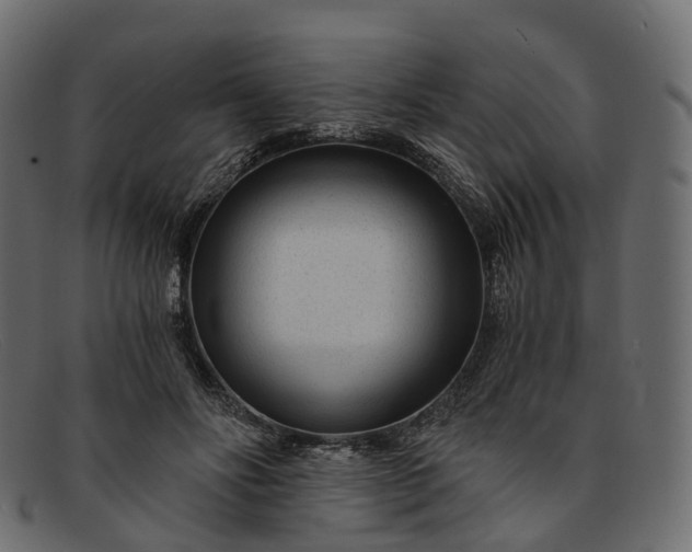 X0000091900502200709191240