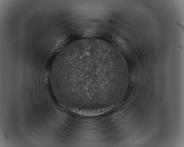 X0000091900503200709191240