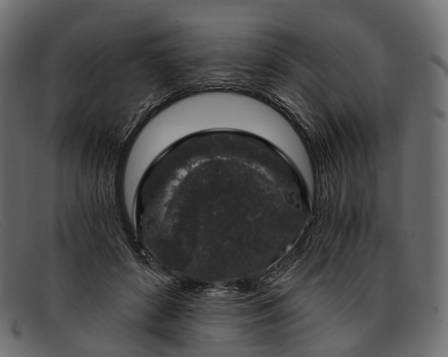 X0000091900504200709191240