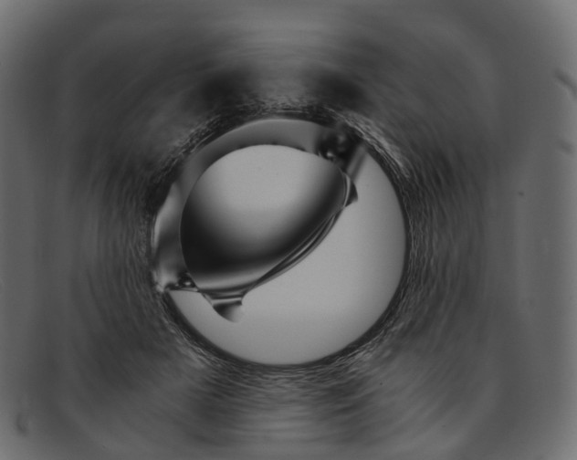 X0000091900505200709191240