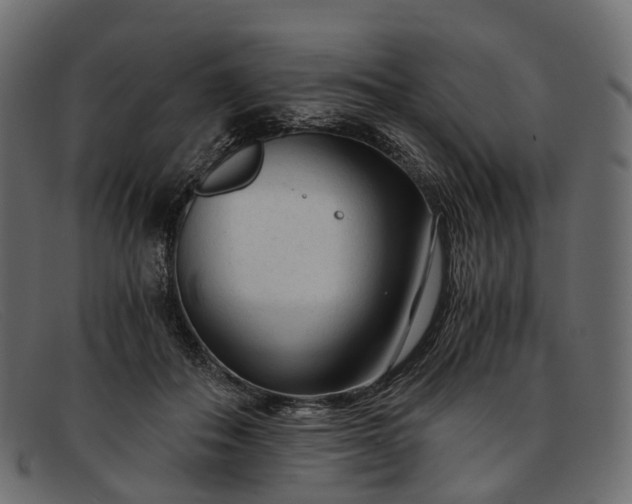 X0000091900506200709191240