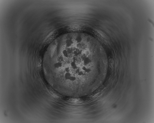 X0000091900507200709191240