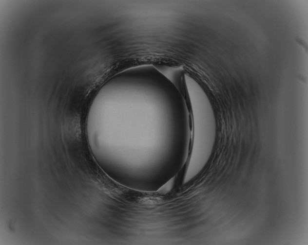 X0000091900508200709191240