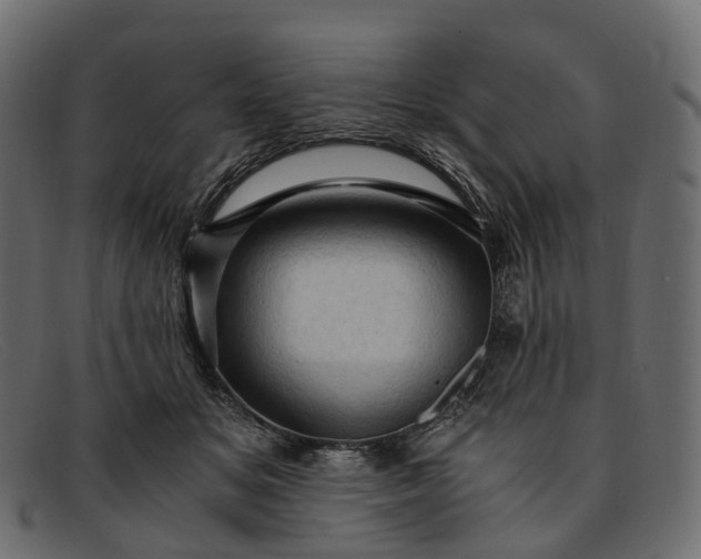 X0000091900509200709191240