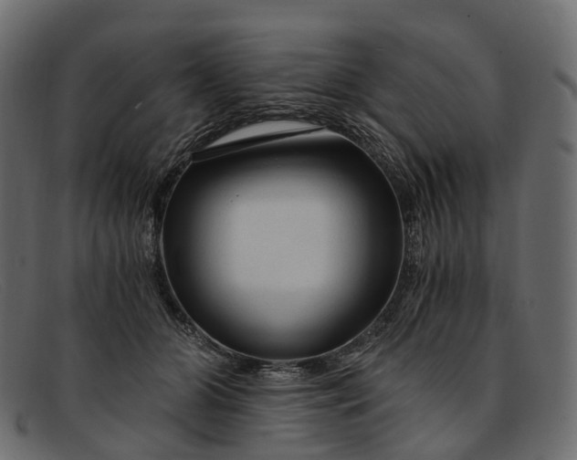 X0000091900510200709191240