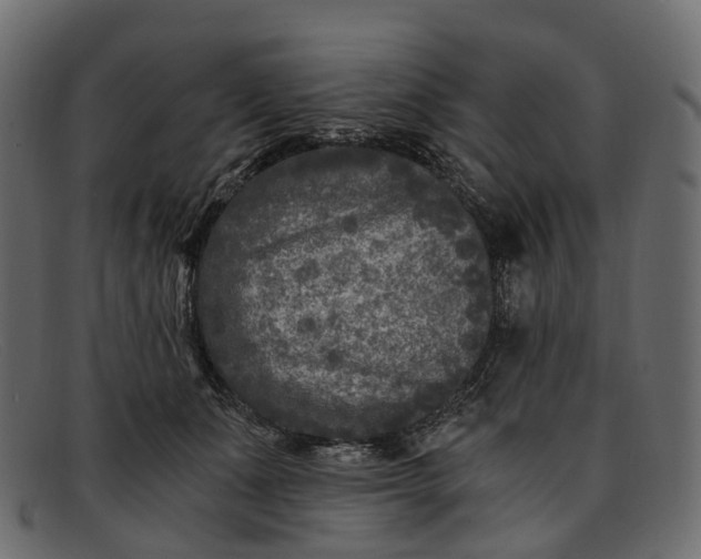 X0000091900511200709191240