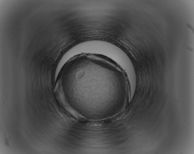 X0000091900512200709191240