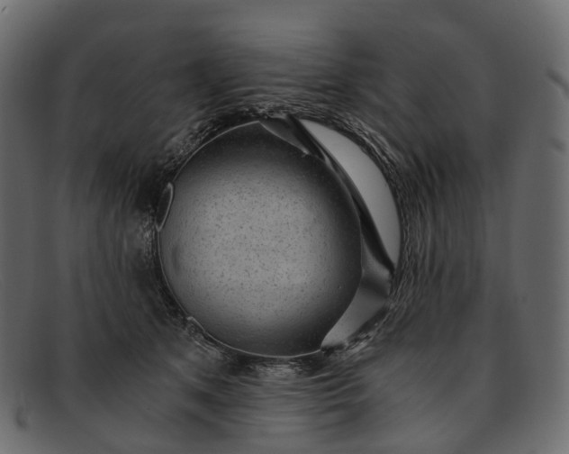 X0000091900513200709191240