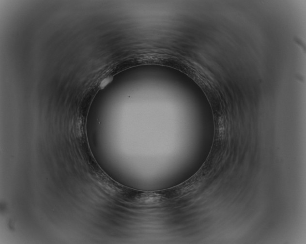 X0000091900514200709191240