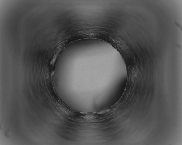 X0000091900518200709191240