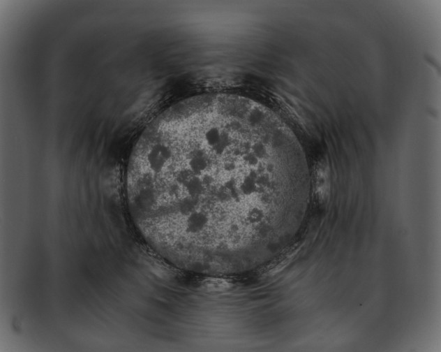 X0000091900519200709191240