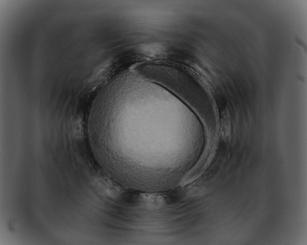 X0000091900520200709191240