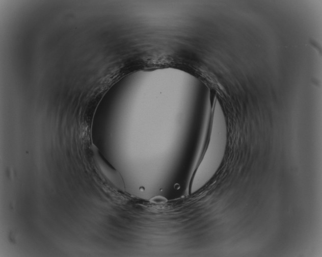 X0000091900521200709191240