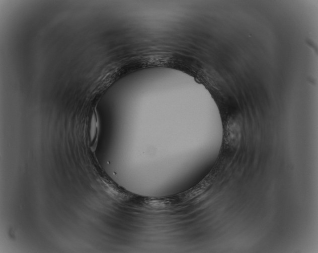 X0000091900522200709191240