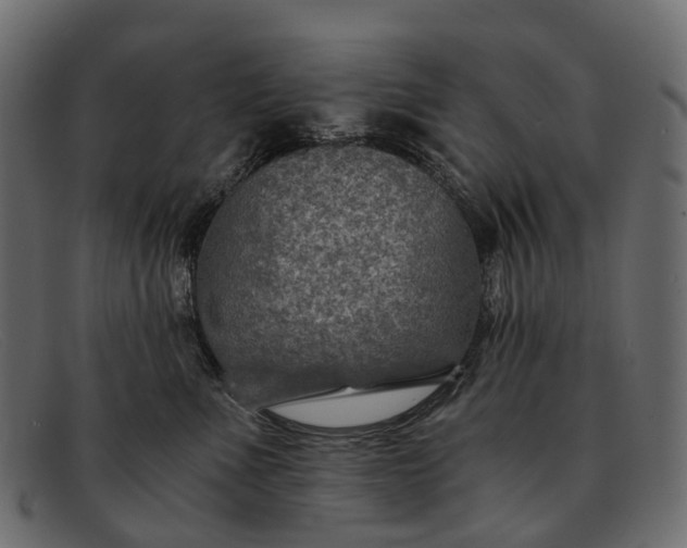 X0000091900523200709191240