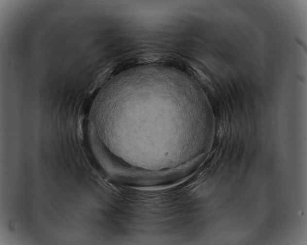 X0000091900524200709191240