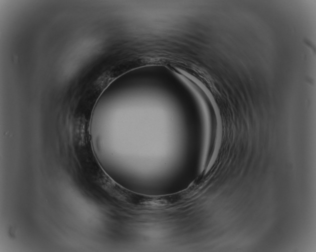 X0000091900525200709191240