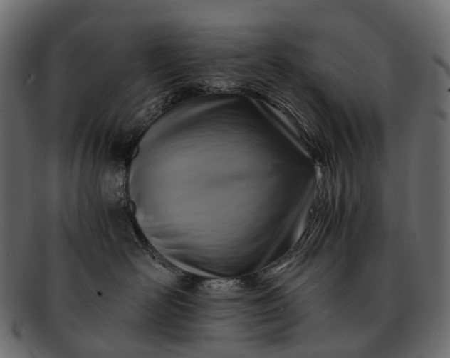 X0000091900526200709191240