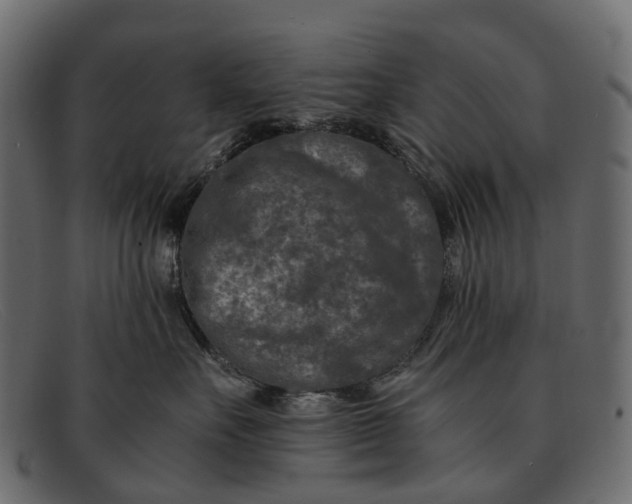 X0000091900527200709191240