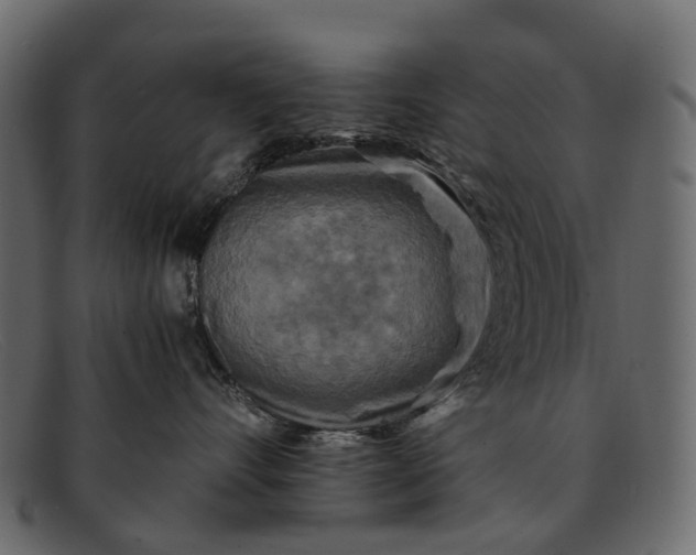 X0000091900528200709191240