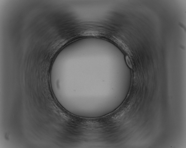 X0000091900529200709191239