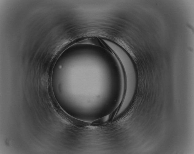 X0000091900530200709191239