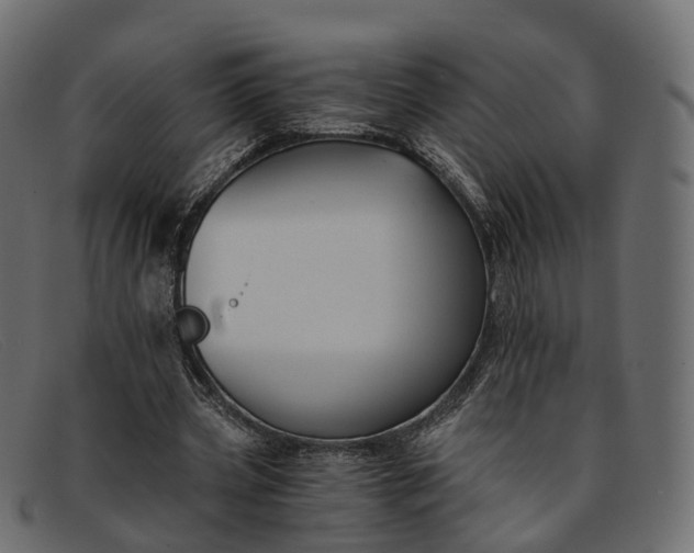 X0000091900533200709191239