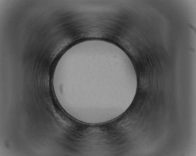 X0000091900534200709191239