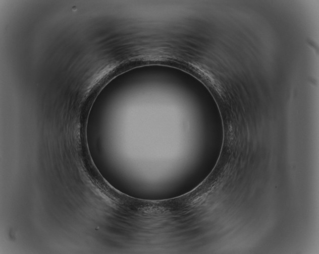 X0000091900535200709191239