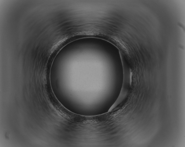 X0000091900536200709191239