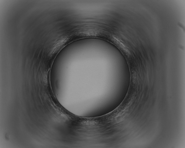 X0000091900537200709191239