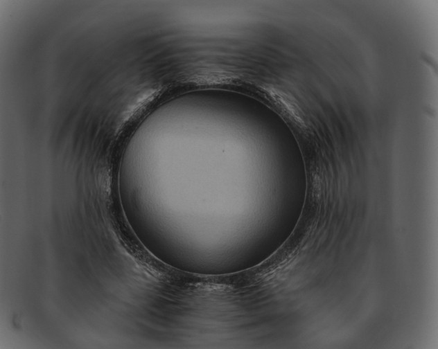 X0000091900539200709191239