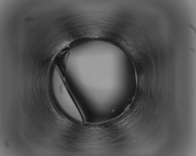 X0000091900540200709191239