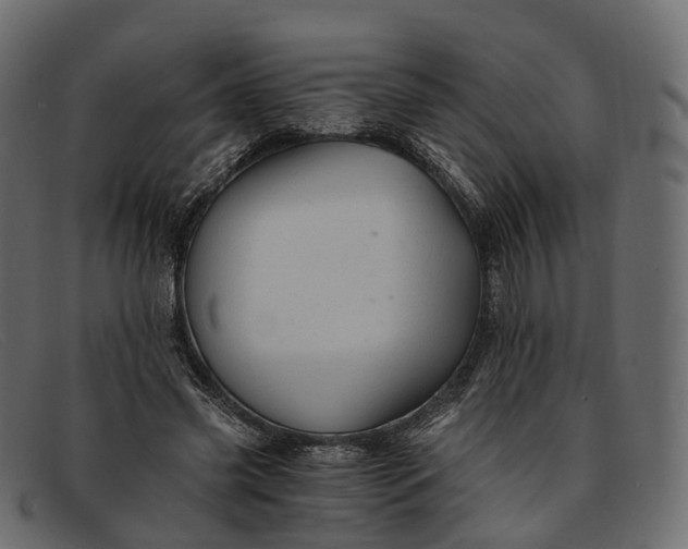 X0000091900541200709191239