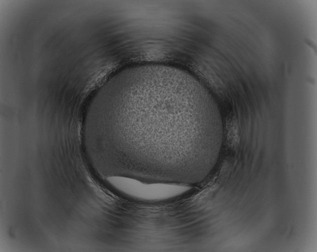 X0000091900542200709191239