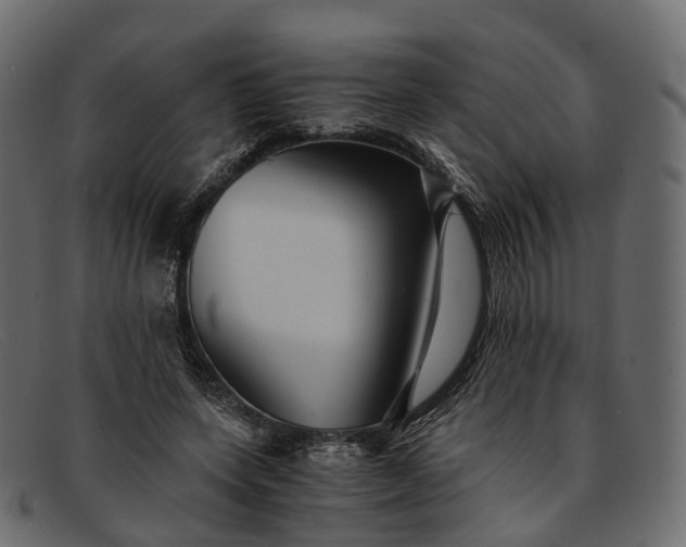 X0000091900543200709191239