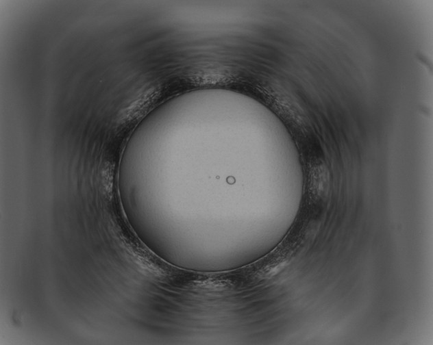 X0000091900545200709191239