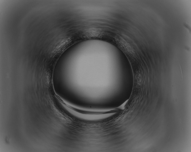 X0000091900546200709191239