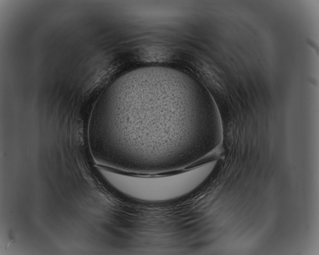 X0000091900547200709191239